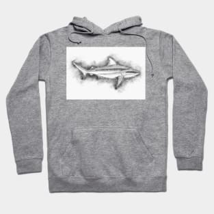 BULL SHARK Fine Art Sketch Drawing for the Ocean and Animal Lovers Hoodie